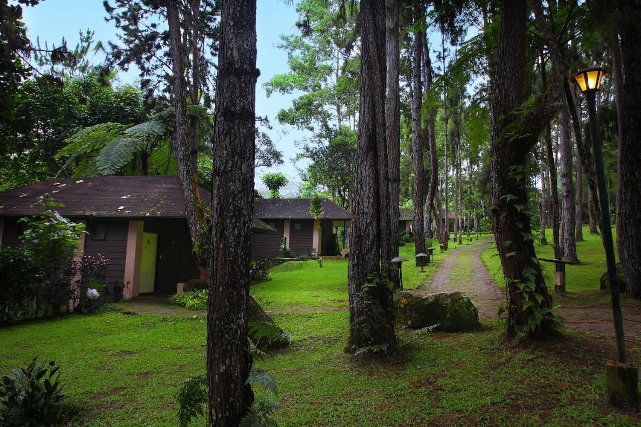 Eden Nature Park&Resort Davao Stadt Exterior foto